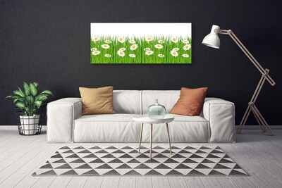 Canvas print Grass daisies nature green white yellow