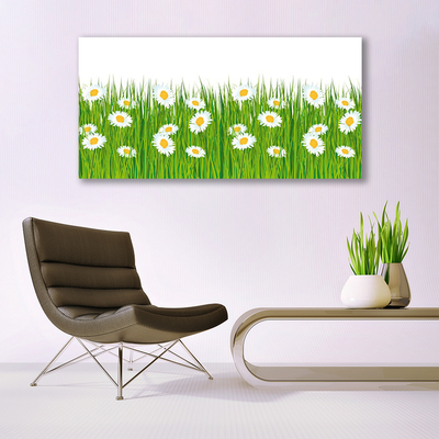 Canvas print Grass daisies nature green white yellow