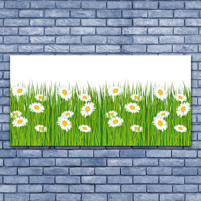 Canvas print Grass daisies nature green white yellow