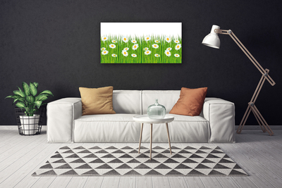 Canvas print Grass daisies nature green white yellow