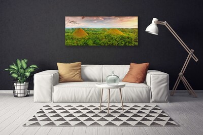 Canvas print Forest nature green