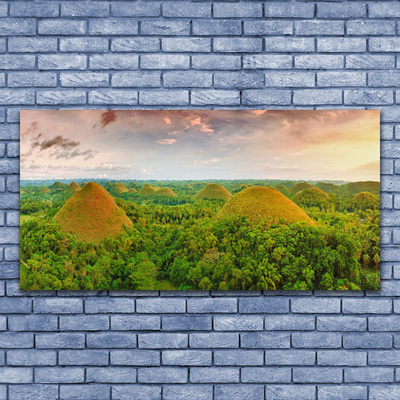 Canvas print Forest nature green