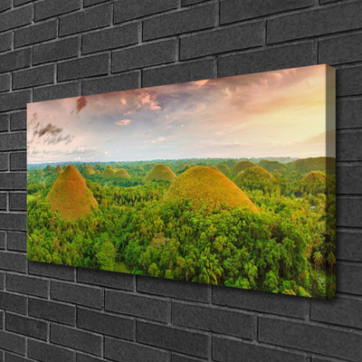 Canvas print Forest nature green