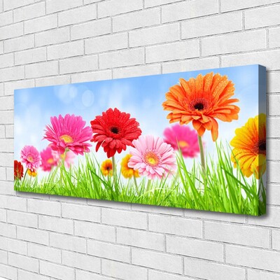 Canvas print Flowers grass floral multi