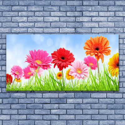 Canvas print Flowers grass floral multi