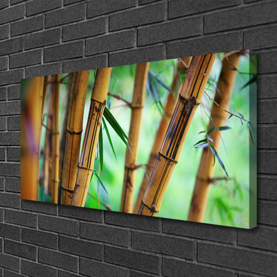 Canvas print Bamboo nature yellow