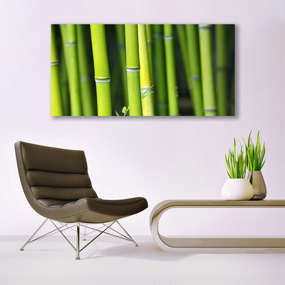 Canvas print Bamboo nature green