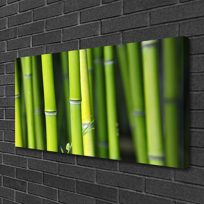 Canvas print Bamboo nature green