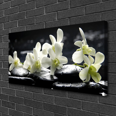 Canvas print Flower stones floral white black