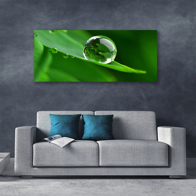 Canvas print Leaf water droplets floral green