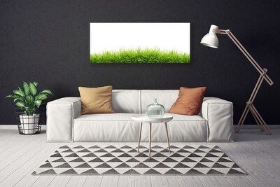 Canvas print Grass nature green