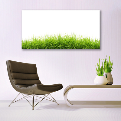 Canvas print Grass nature green