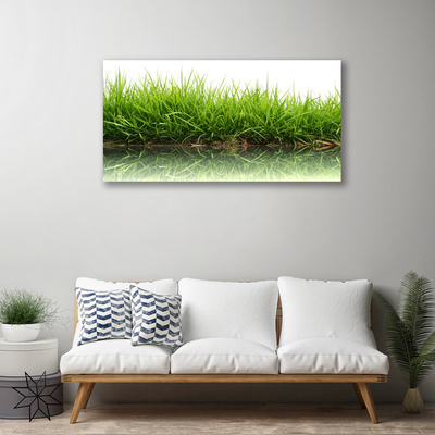 Canvas print Weed nature green