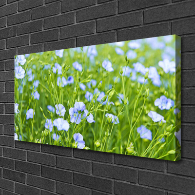 Canvas print Flowers grass nature purple green