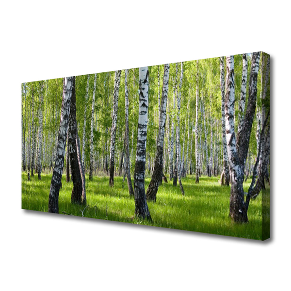 Canvas print Forest nature black white green