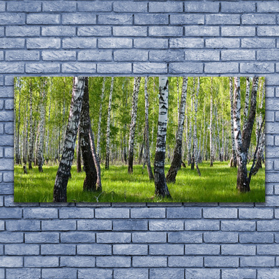 Canvas print Forest nature black white green