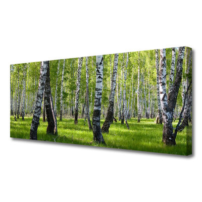 Canvas print Forest nature black white green