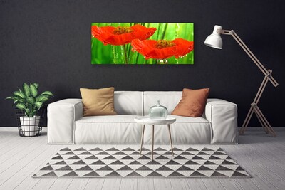 Canvas print Poppies floral red green
