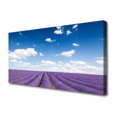 Canvas print Meadow flowers nature purple