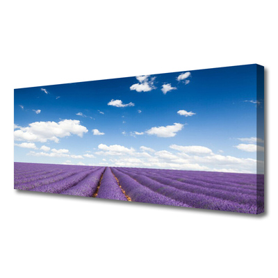 Canvas print Meadow flowers nature purple