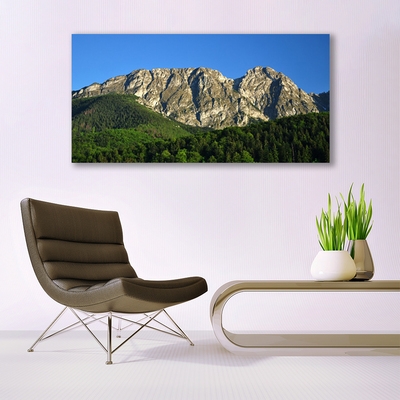 Canvas print Mountain forest nature grey green