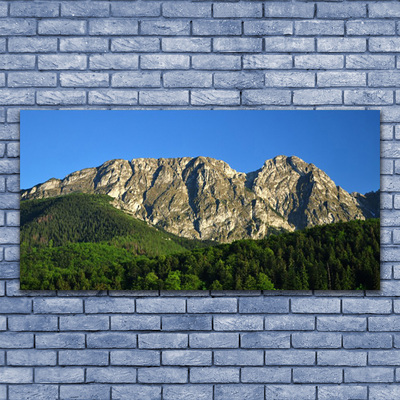 Canvas print Mountain forest nature grey green