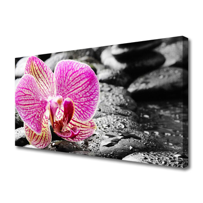 Canvas print Flower stones floral pink black