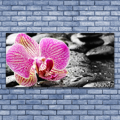 Canvas print Flower stones floral pink black