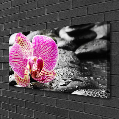 Canvas print Flower stones floral pink black