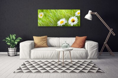 Canvas print Grass daisies nature white green