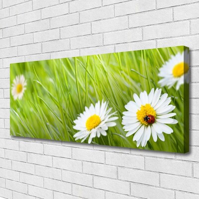 Canvas print Grass daisies nature white green