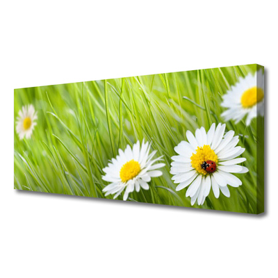 Canvas print Grass daisies nature white green