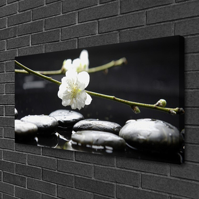 Canvas print Flower stones art white black