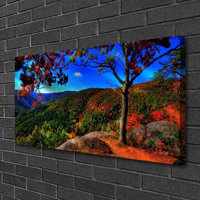 Canvas print Mountain forest nature brown orange green