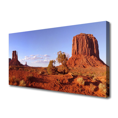 Canvas print Desert landscape brown green