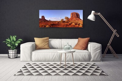 Canvas print Desert landscape brown green