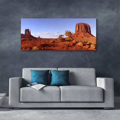 Canvas print Desert landscape brown green