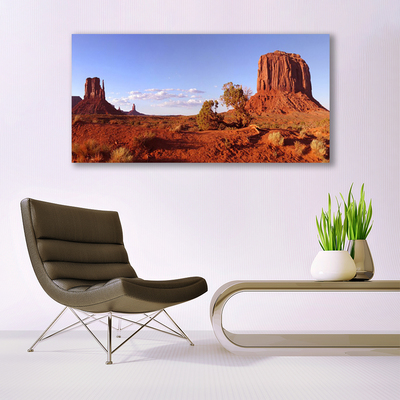 Canvas print Desert landscape brown green