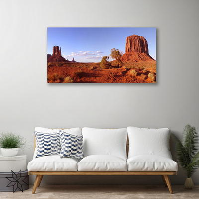 Canvas print Desert landscape brown green