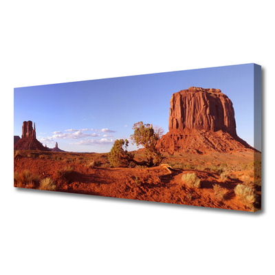 Canvas print Desert landscape brown green