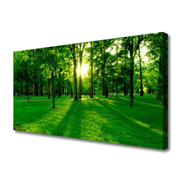 Canvas print Forest nature brown green