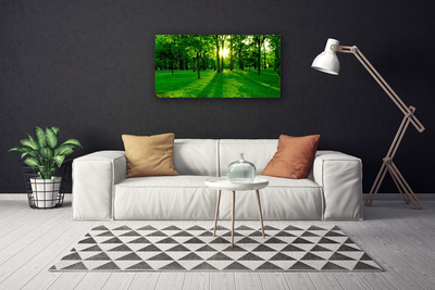 Canvas print Forest nature brown green