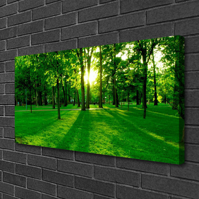 Canvas print Forest nature brown green