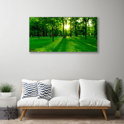 Canvas print Forest nature brown green