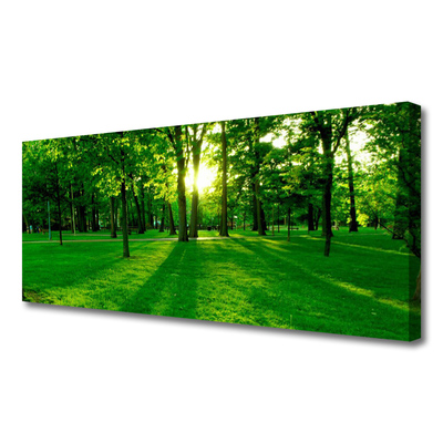 Canvas print Forest nature brown green