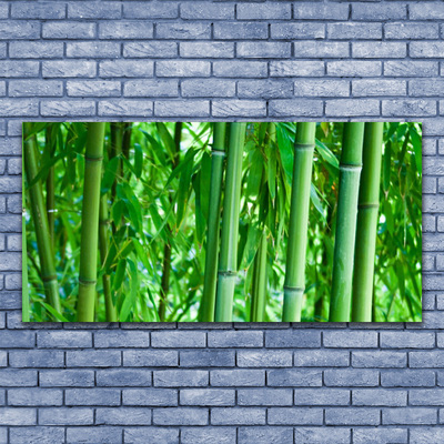 Canvas print Bamboo stalk floral green