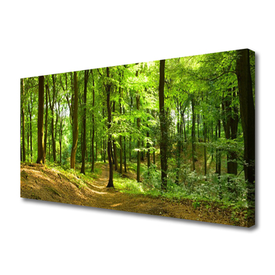 Canvas print Forest nature brown green