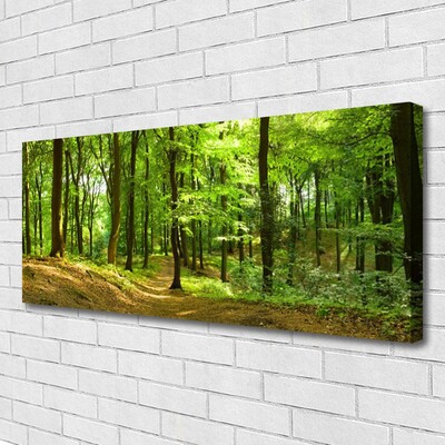 Canvas print Forest nature brown green