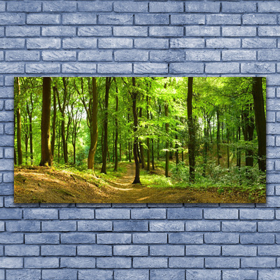 Canvas print Forest nature brown green