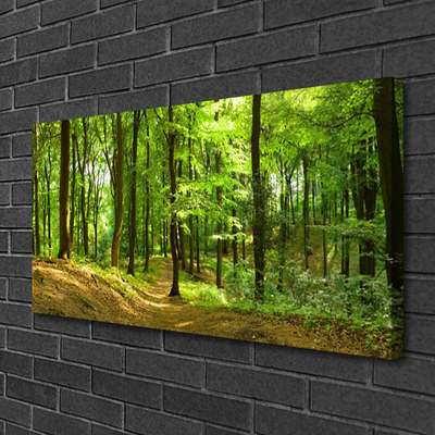 Canvas print Forest nature brown green